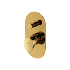 bristan 1901 gold shower valve

