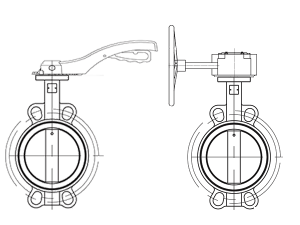 lug type butterfly valve
