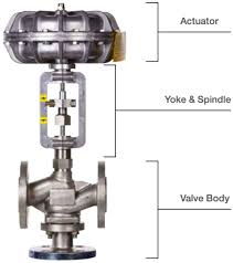 trunnion ball valve
