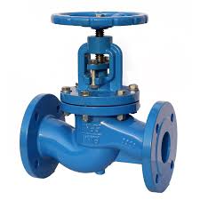 2 globe valve
