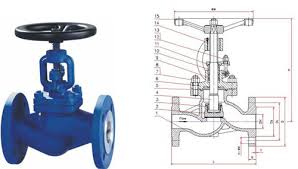 gate valves vs globe valves
