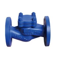 globe check valve
