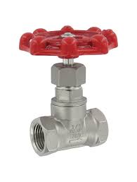 1/2 globe valve
